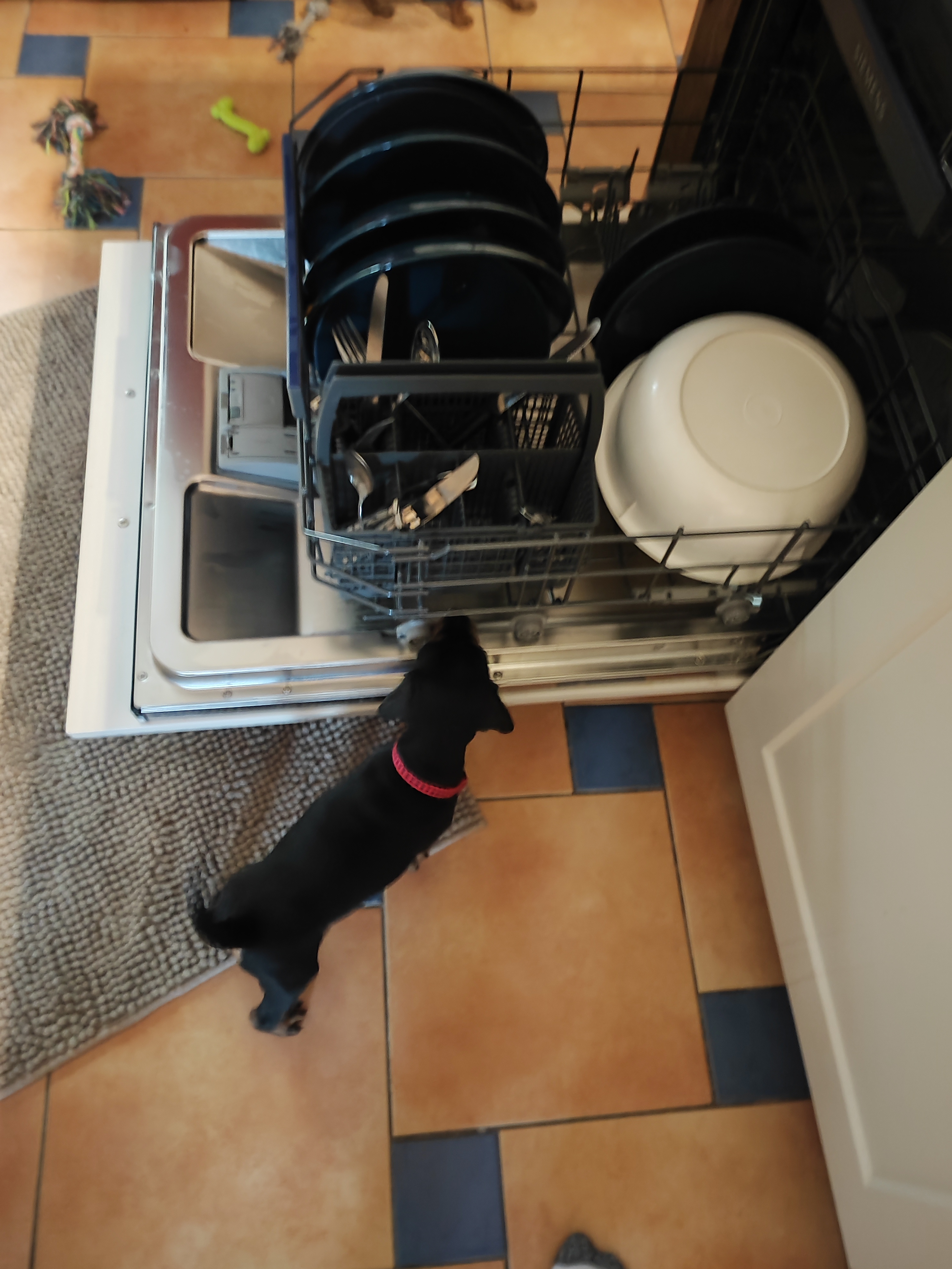 Alexia von der Linau