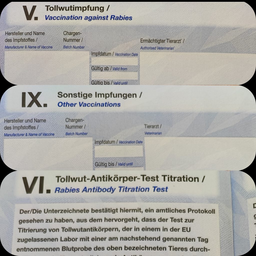 Immunisierung, Impfen